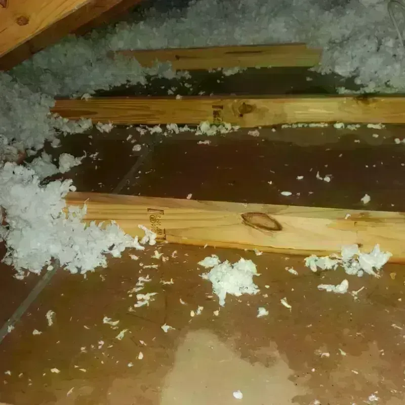 Attic Water Damage in Evadale, TX